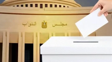 596 مقعدًا.. مصر تعتمد نظام انتخابي يجمع بين الفردي والقائمة في مجلس النواب